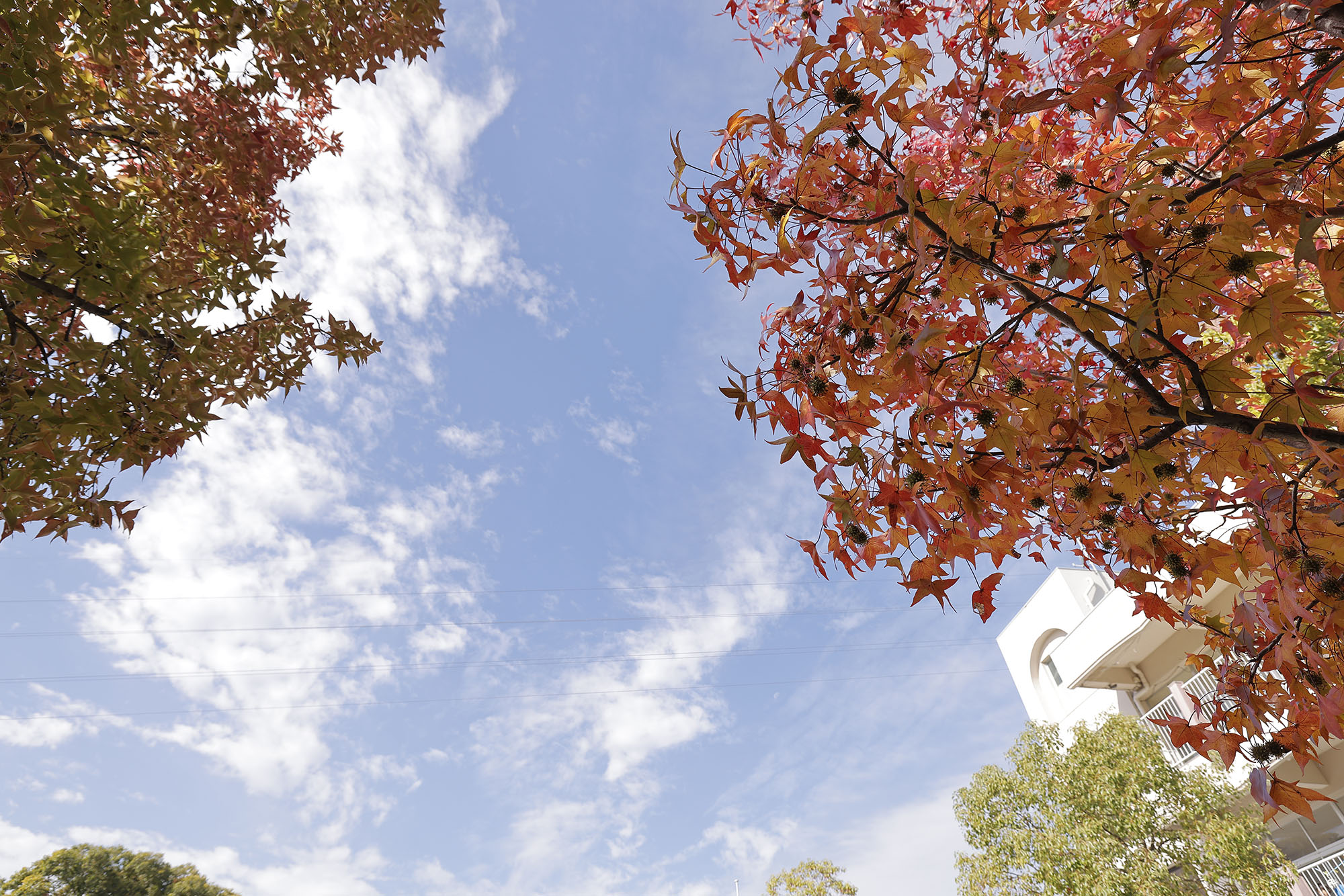高松東幼稚園　安全教室